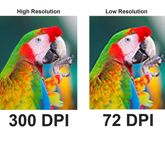 Print Resolution Comparison: Shows the difference between low resolution and 300 DPI print-ready photos